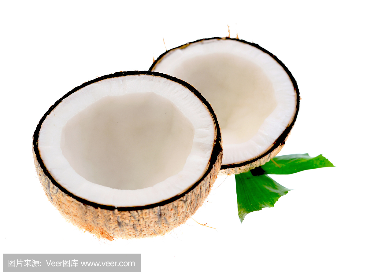 白色背景上的椰子和樹(shù)葉